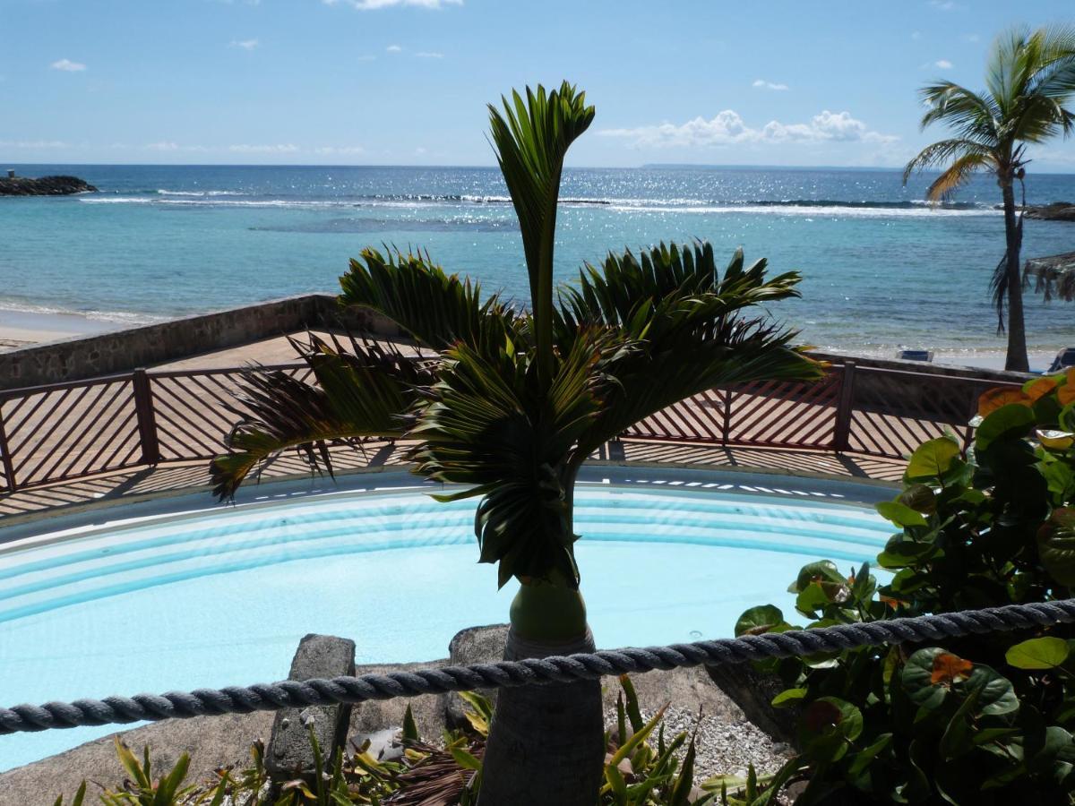 Studio Vue Mer Piscine Plage Kaz Punch Manganao Chez Julie Saint-Francois  Exteriör bild