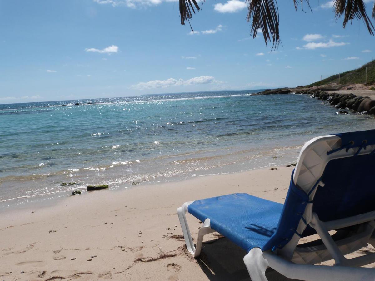 Studio Vue Mer Piscine Plage Kaz Punch Manganao Chez Julie Saint-Francois  Exteriör bild