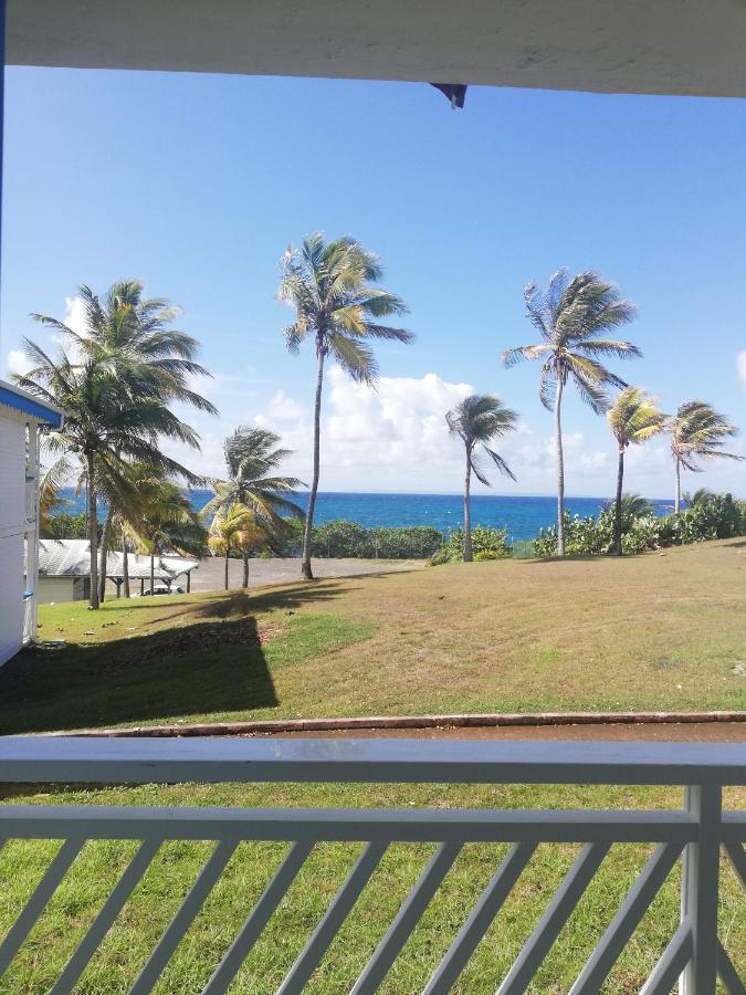 Studio Vue Mer Piscine Plage Kaz Punch Manganao Chez Julie Saint-Francois  Exteriör bild
