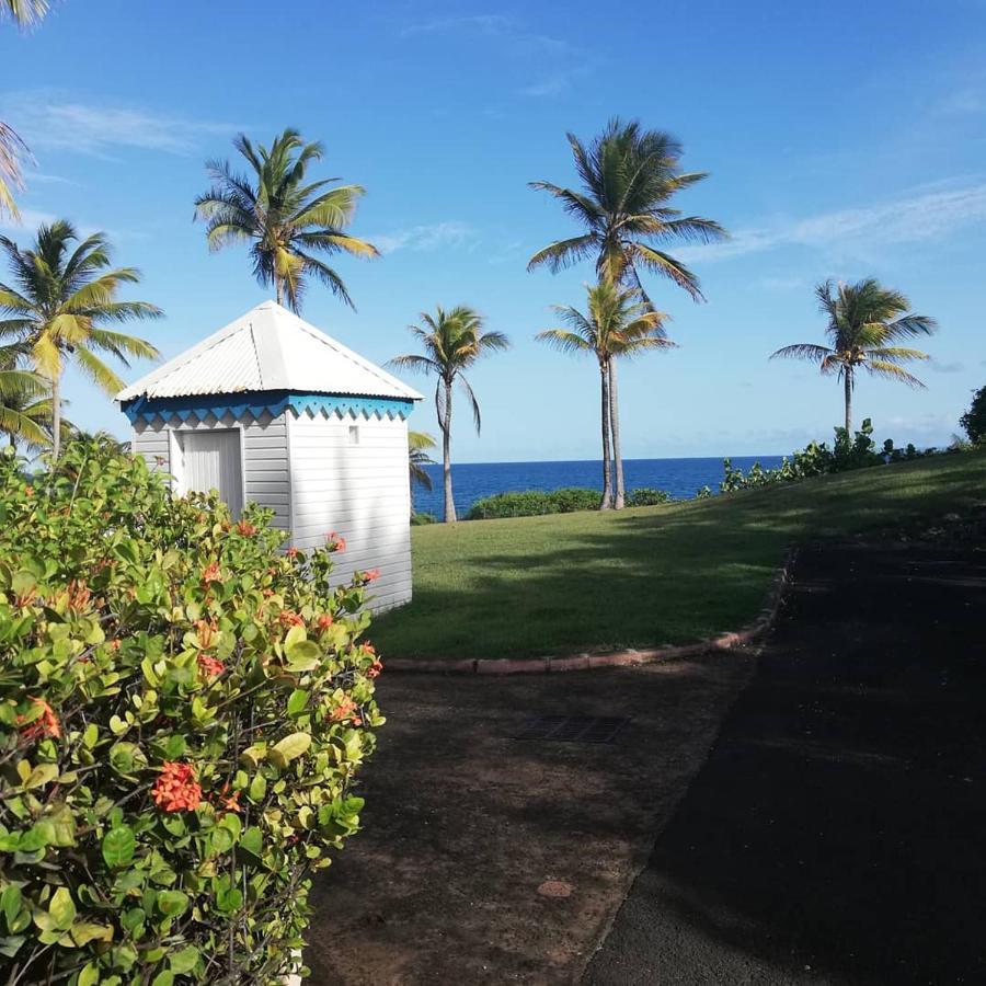 Studio Vue Mer Piscine Plage Kaz Punch Manganao Chez Julie Saint-Francois  Exteriör bild