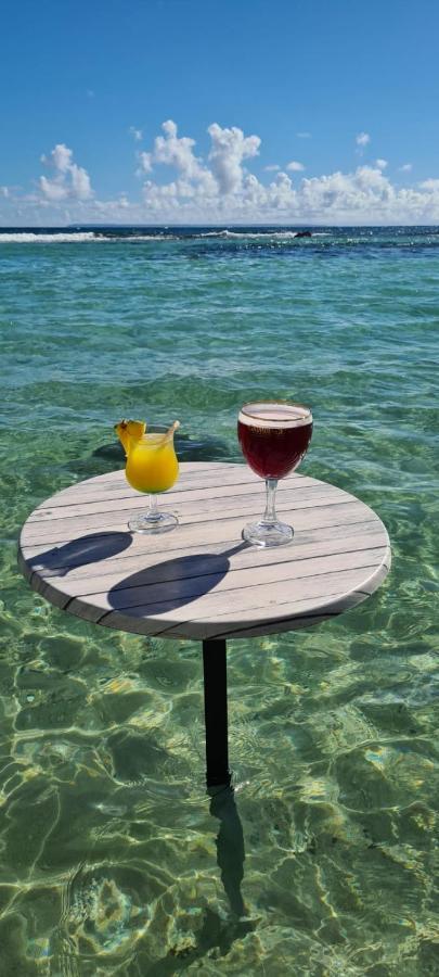 Studio Vue Mer Piscine Plage Kaz Punch Manganao Chez Julie Saint-Francois  Exteriör bild