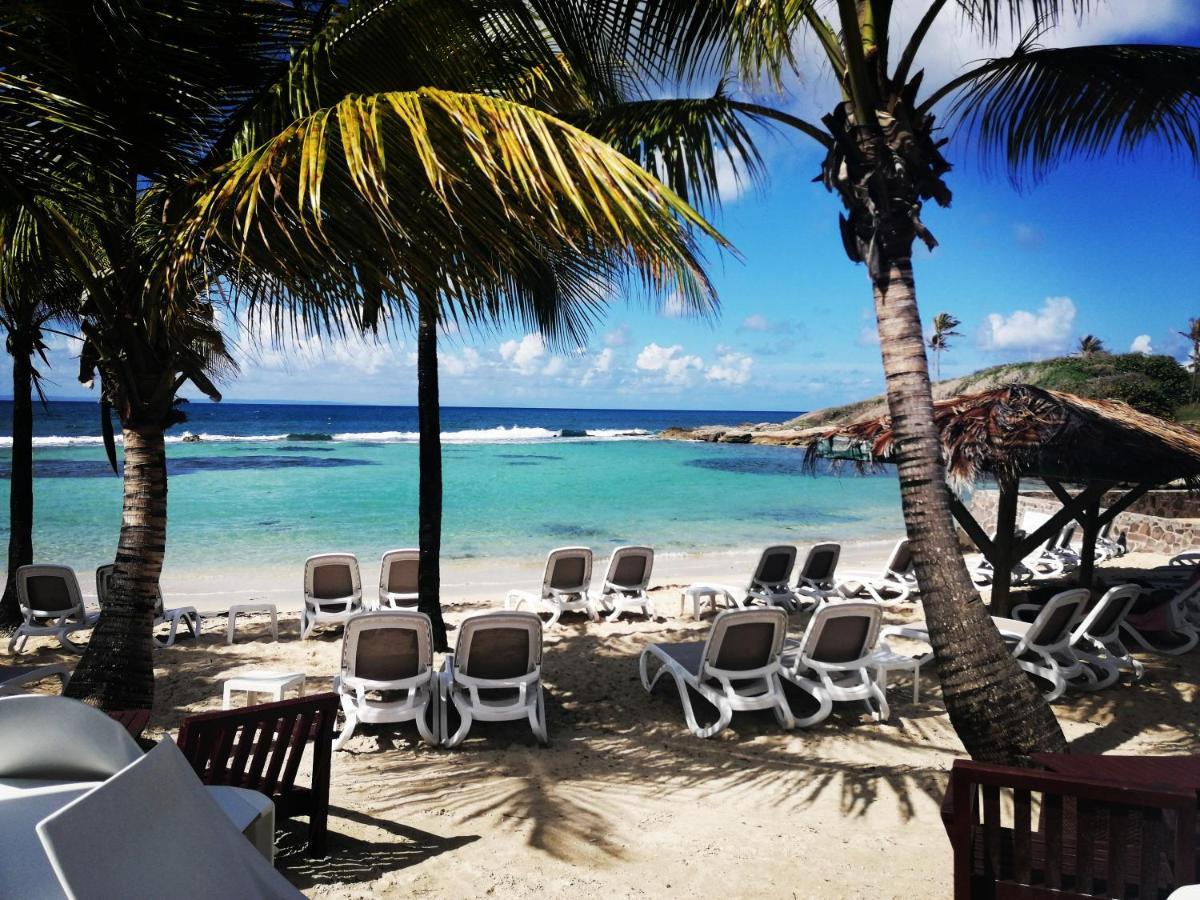 Studio Vue Mer Piscine Plage Kaz Punch Manganao Chez Julie Saint-Francois  Exteriör bild